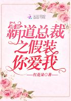 霸道总裁假装厨师是什么电视剧