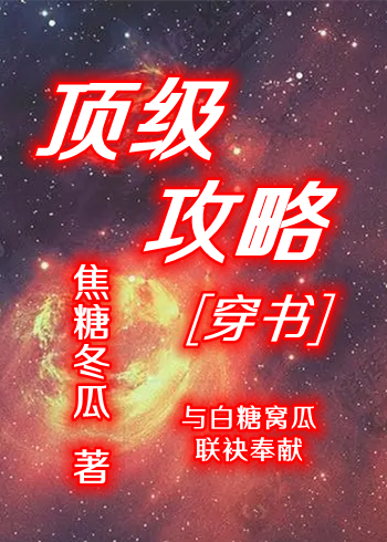 顶级攻略系统